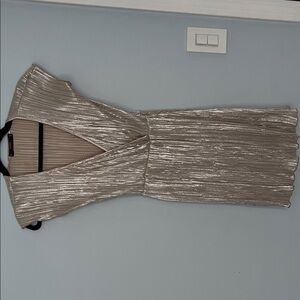Elegant Silver Pleated Dress